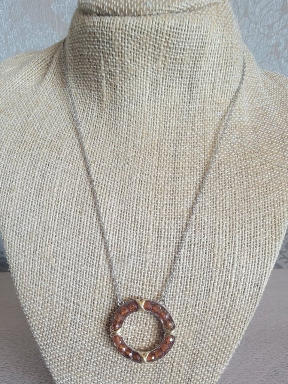 Karis Ceylon Hessonite Garnet Circle Necklace in 18K YG Plated